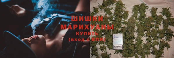ПСИЛОЦИБИНОВЫЕ ГРИБЫ Абаза