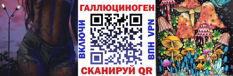 Псилоцибиновые грибы Psilocybine cubensis  OMG ссылка  Югорск 